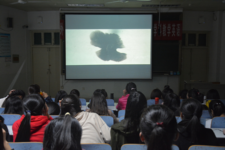 beat365在线体育官网登录入口开展经典影片观摩活动